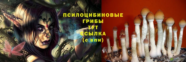 МДМА Белокуриха