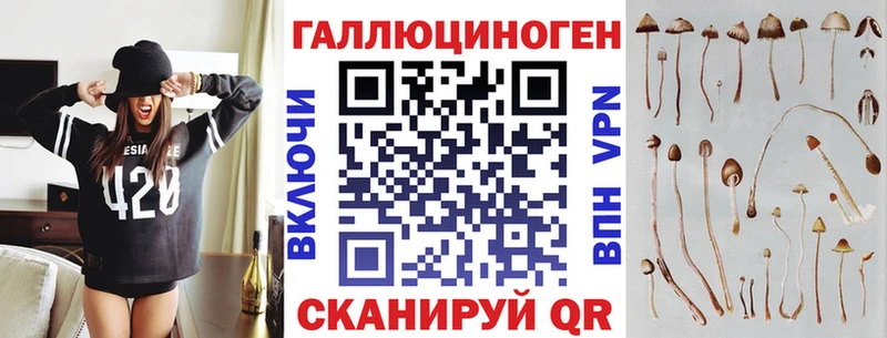Псилоцибиновые грибы прущие грибы  Кунгур 